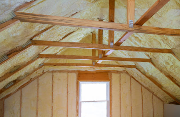 Best Residential Insulation Services  in Lockhart, TX