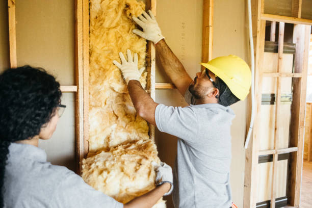 Best Insulation Replacement Services  in Lockhart, TX