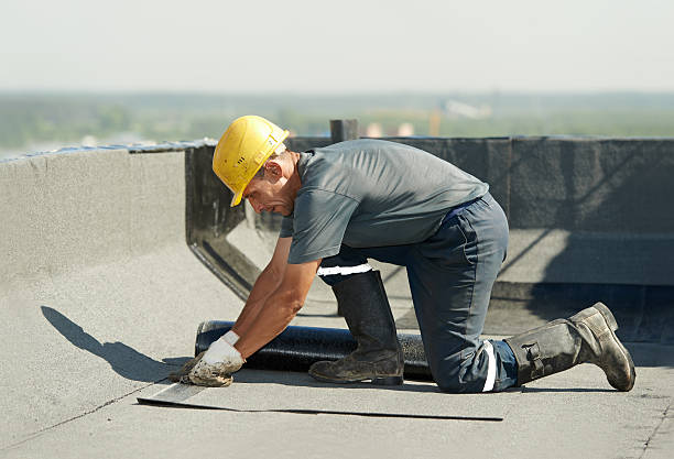 Best Wall Insulation Contractor  in Lockhart, TX