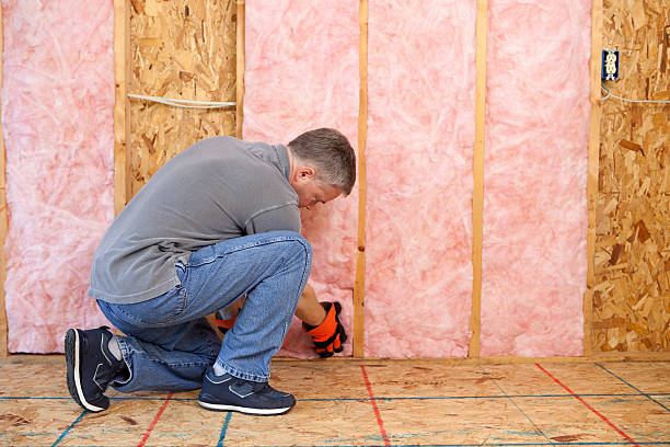 Insulation Repair Services in Lockhart, TX