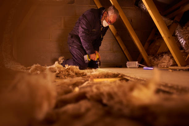 Insulation Inspection Services in Lockhart, TX